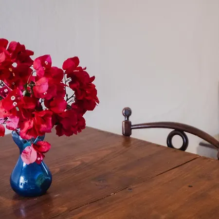 Casa de Férias Nona's House *