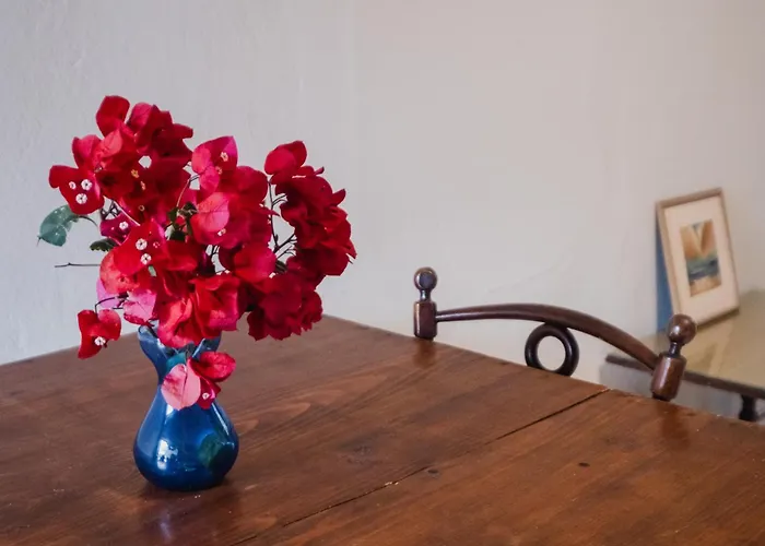 Prázdninový dům Nona's House *